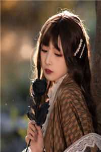 温瓷照星影畅读