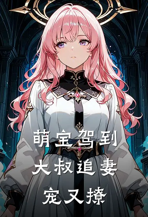 萌宝驾到大叔追妻宠又撩 小猪猫