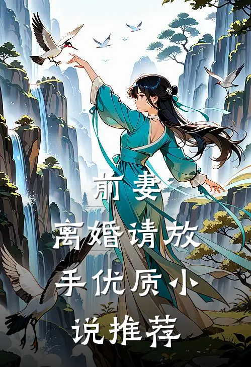 前妻,离婚请放手优质推荐全文