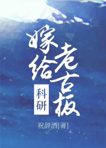 我生当如夏花般灿烂沈淮之周染前文+后续
