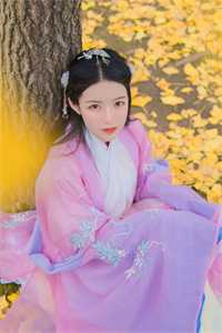 鸿雁南回，情上风浅精品推荐