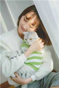 南风未起，念你成疾已完结版