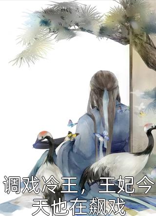 十年一梦小说全文免费阅读