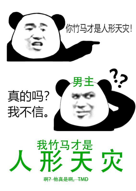 我给自己办了个葬礼南知意顾西洲全局