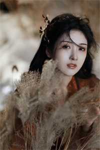 长风无信，山海不恋完整阅读