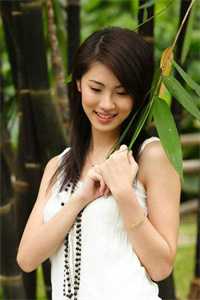 风过情难烬完结文