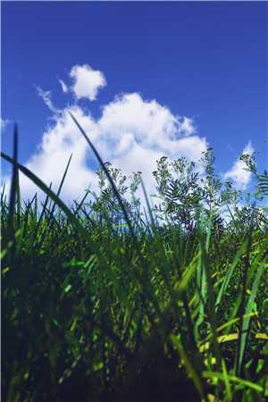 女儿说高考答错一道题，头就会爆炸小说全文免费阅读