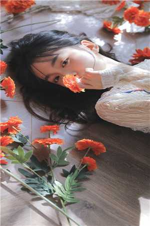 彼岸城暖花意阑已完结版