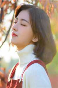 醉月一帘幽梦全本