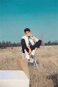 杨过：这次，换我来守护桃花岛新上热文