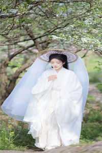 满目星河，终究是过客全文无删减