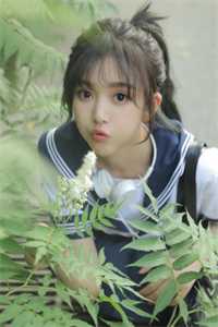 寂寂照思语江思语裴寂小说