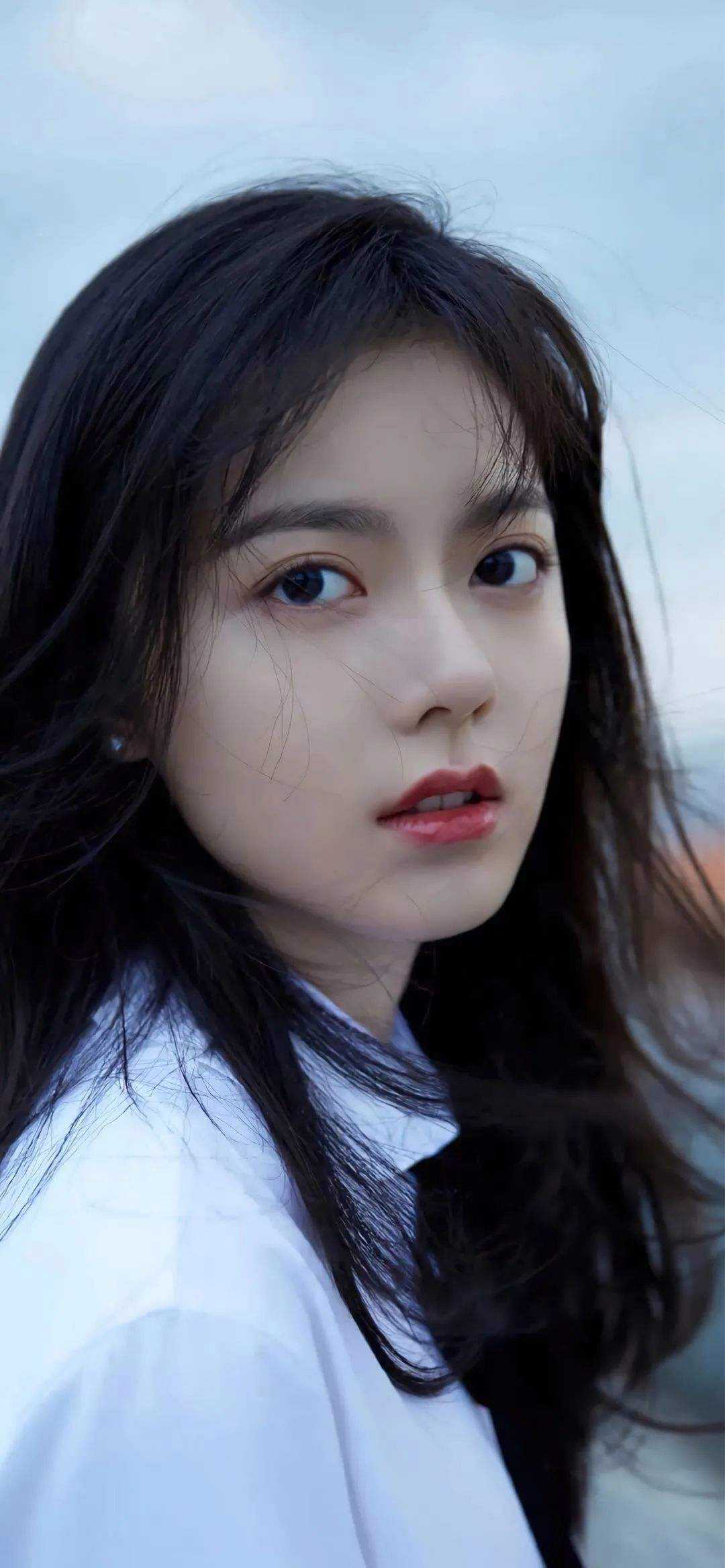 玫瑰未开已成荆棘精品推荐