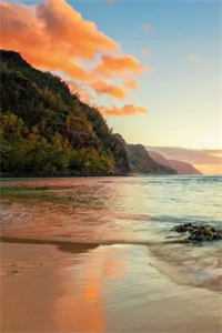 我三度求死后，冷艳小姑悔疯了最新