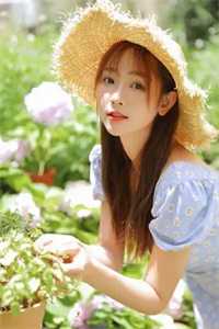若如当初莫相识贺观棋沈听秋无删减+无广告