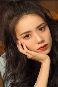 雪落无声覆白头小说大结局