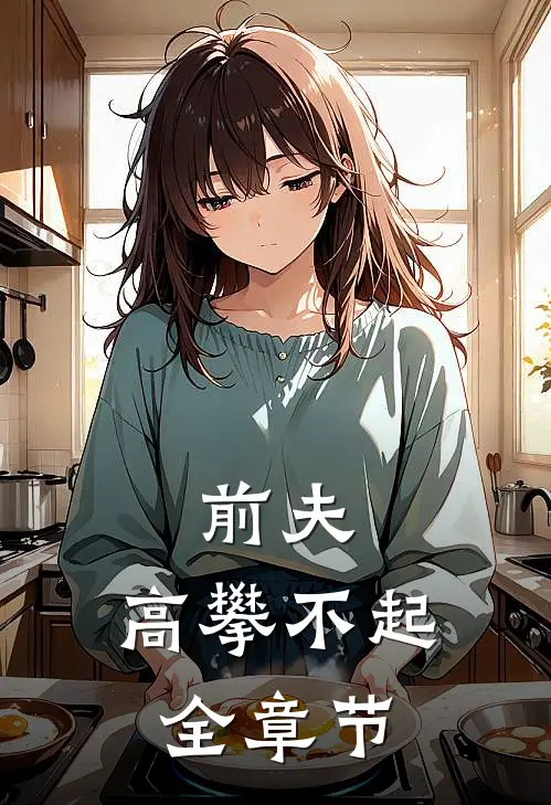 前夫，高攀不起全章节