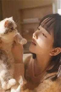 雪烬辞故人全新