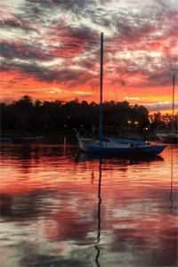 彼岸城暖花意阑前文+番外