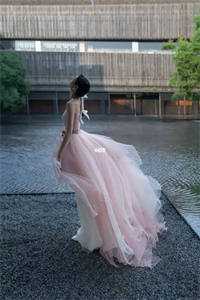 数到第七颗真正的星免费阅读全文