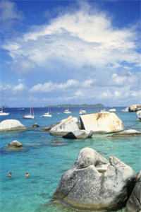 毒酒是你赐给我的，我喝了你后悔什么无删减版