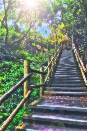 体制内的偏爱精选