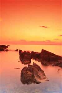 庶妹污我与乞丐私通有孕，可我是男的啊质量好文