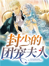 长风越过十二年无广告