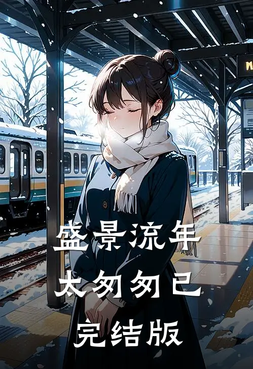 盛景流年太匆匆已完结版
