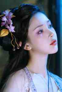 恰似霜雪遇春归新上热文