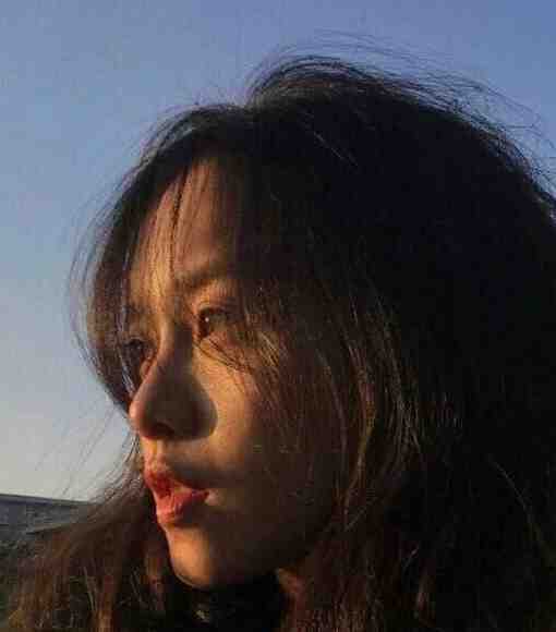 霜雪无尽已渡春畅销巨著