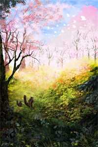 谢太太的退场推荐