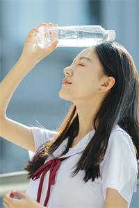 鸿雁南回，情上风浅最完整版