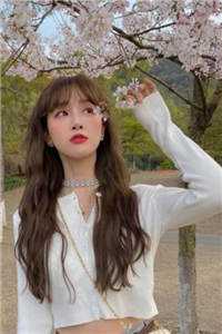 冬雪怜月明完结+番外