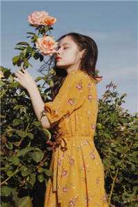 寒灯纸上，我等风雨又一年无广告