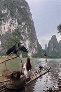 彼岸城暖花意阑篇章