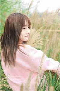 重生78：娇妻求我收容俏大姨子全文无删减