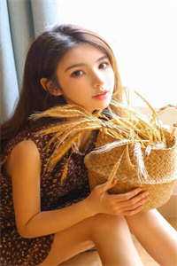 鸿雁南回，情上风浅顾言铮温幼栀番外