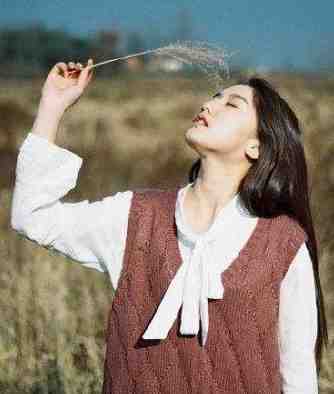 长风越过十二年后续+无弹窗