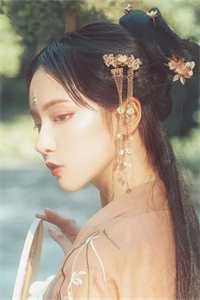 玫瑰未开已成荆棘完本