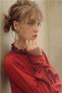 断雁不南归好书