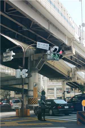 半颗丹心喂霜骨，一念成皇试读