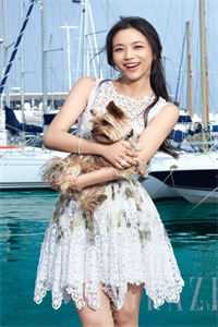 弃你如昨夜的月必读文