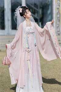 倦鸟不归栖程柒许封行舟全局